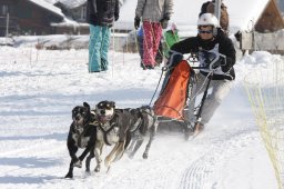 Lenk 2012 SM